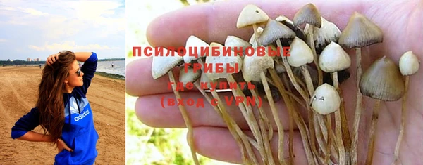 Альфа ПВП Семилуки