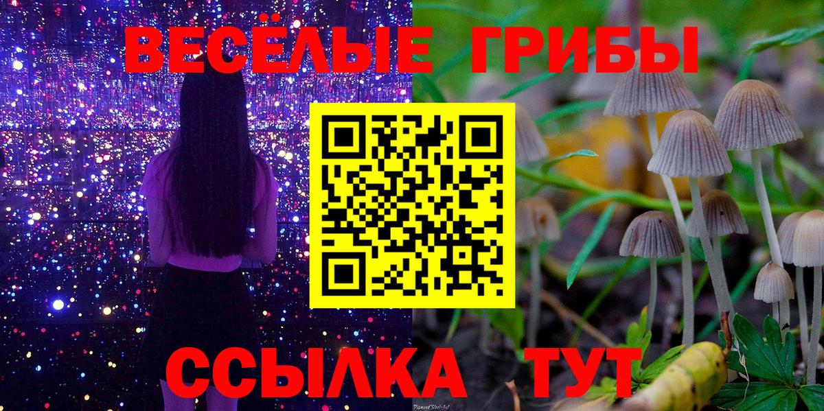 наркота  Галлюциногенные грибы ЛСД  Тутаев  Вход с VPN  Псилоцибиновые грибы Cubensis 