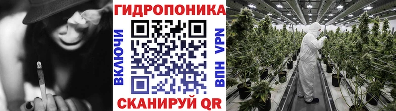 дарнет шоп  Тутаев  Марихуана OG Kush 